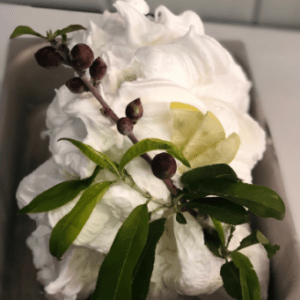 Helado Limon